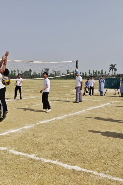 8478cafe-006d-45f3-bf9a-d900d75040ac