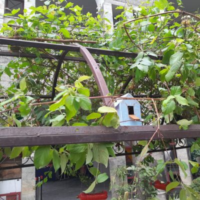 WhatsApp Image 2023-07-18 at 12.53.11 PM