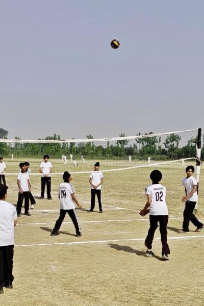 f33b7e42-890f-435a-8720-fae3dd814dd8